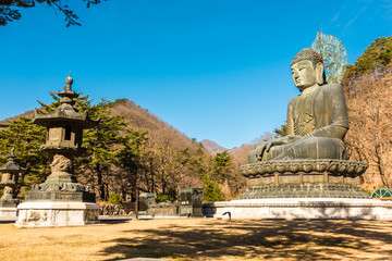 Obraz premium The Great Unification Buddha Tongil Daebul of Sinheungsa temple.