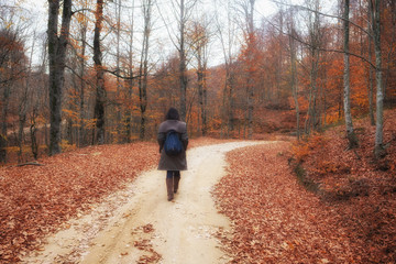 Fototapeta premium Girl Walking in the Woods