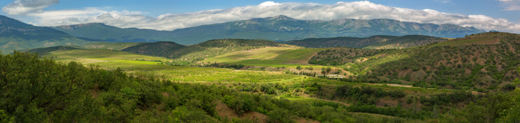 Beautiful summer panorama of vineyards in the mountains of Crimean peninsula