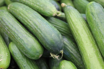 Green zucchini in a pile