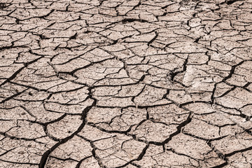 Crack ground of drought background.