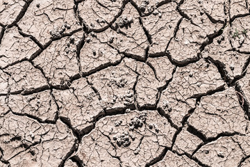 Crack ground of drought background.