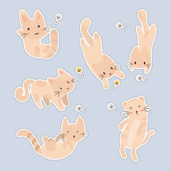 set of cute sticker with cute cat