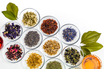 きれいなハーブティーいろいろ　Beautiful color herbal tea © norikko