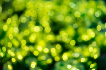 Obraz premium Christmas holiday lights bokeh background