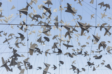 Paper planes in the air