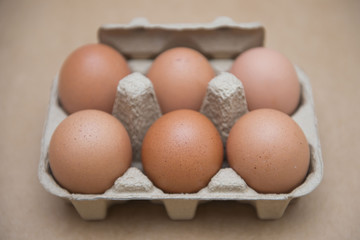 Fresh eggs in cardboard box