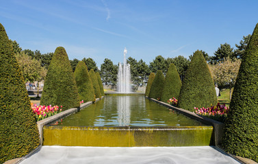 Fountain in tulip and topiary garden