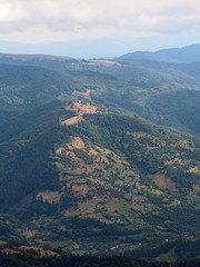 Carpatian mountains village at green forest