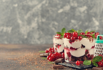 Chocolate dessert with red currant