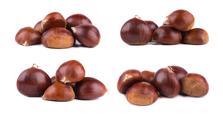 Fresh chestnuts isolated on white background. Hippocastanum isolated. Isolated chestnut set with clipping path. Macro