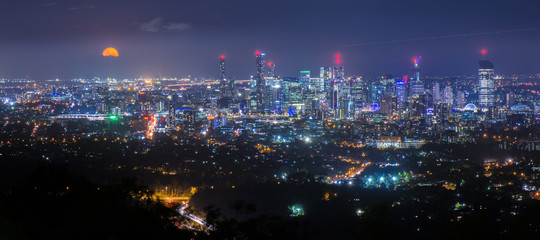 Fototapeta premium View of Brisbane from Mount Coot-tha at night. Queensland, Australia.