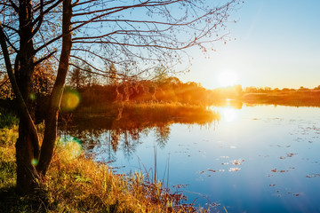 Obraz premium Evening at sunset on a river with a tree on the shore