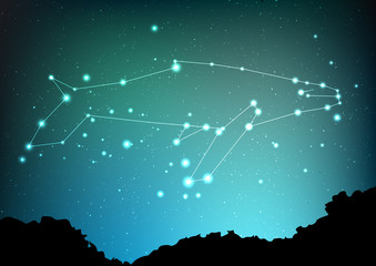 Whale constellation vector art. Sea whale in constellations and star on night sky and forest landscape. Starry whale in deep dark sky with line and shiny dots © kirasolly