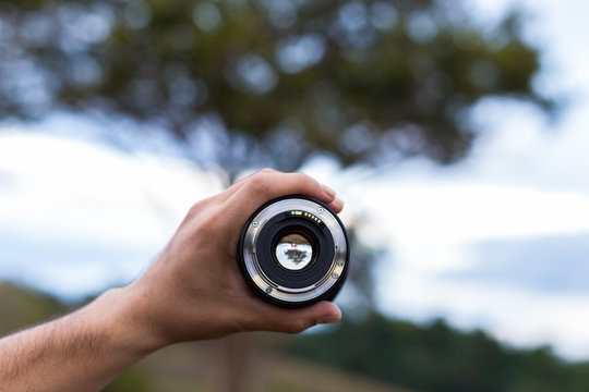 Big Tree Nature View Through The Camera Lens