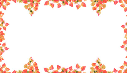 Isolated autumn leaves frame for nature background and design.