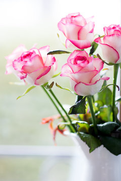 Romantic photo of pink roses in a vase
