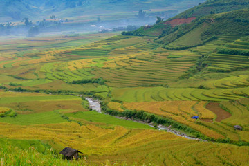 Vietnam Tu Le Yen Bai beautiful landscape rice terrace view in morning time on the winter season.