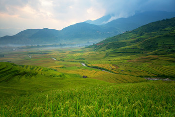 Vietnam Tu Le Yen Bai Rice terrace landscape this is a field green of Vietnamese  and the best of landmark tourist of north Vietnam.