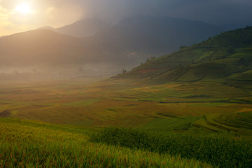 Vietnam Beautiful rice terrace view landscape in Mu Cang Chai