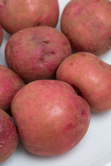 ジャガイモ　アンデスレッド