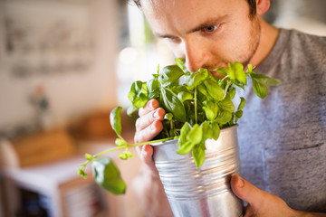 Young man cooking, holding herbs.