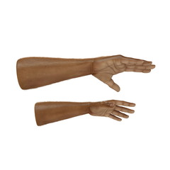Man Hands Swarthy Skin on white. 3D illustration