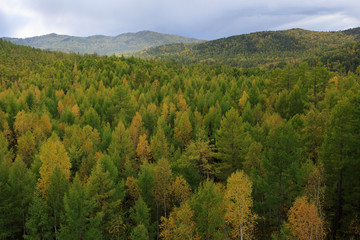 aerial shot of colorful autumn forest landscape