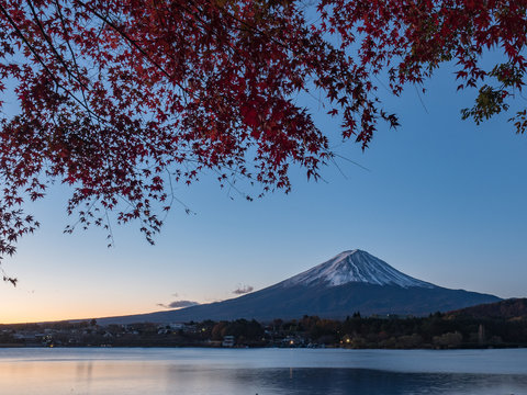 Fuji mountain with red maple and golden sunshine in the morning time of autumn. © sakda