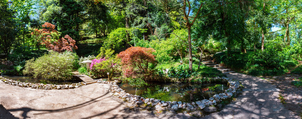Panoramic view of Japanese garden with lake in botanical garden Georgia Batumi
