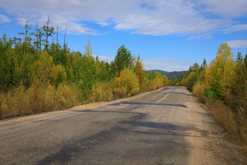 Fototapeta na wymiar closeup of trail through colorful autumn forest
