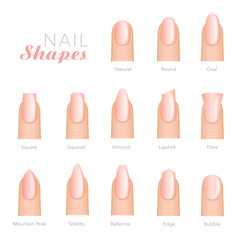 Professional manicure different shapes of nails vector - 183582747