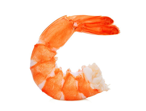 single shrimp isolated on white background