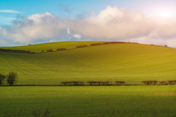Fototapeta premium Green field and blue sky
