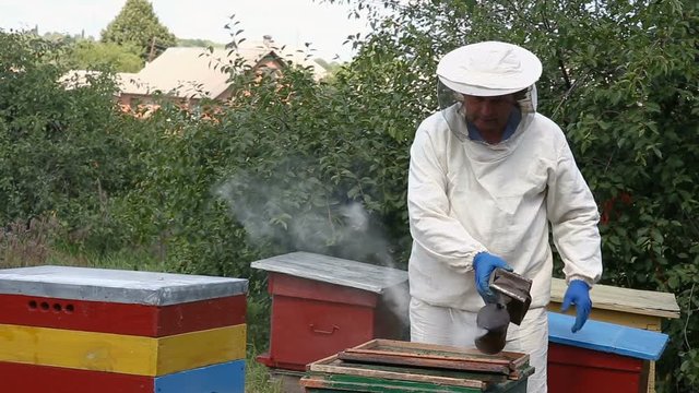 beekeeper inspecting honeycomb
