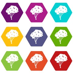 Tree icon set color hexahedron