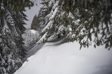 Winter landscape in Romania