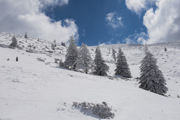 Obraz premium Winter landscape in Romania