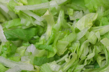 Eisberg salad in close up