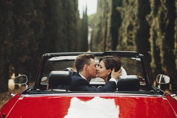 Look from behind at wedding couple kissing in a red cabrio which stands between tall trees...
