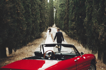 Bride and groom hold each other hands walking before a red cabrio between tall trees somewhere in Tuscany, Italy
