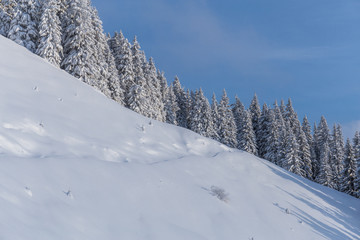 Fototapeta na wymiar Winterlandschaft mit Schnee und Wald im Hintergrund
