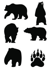 grizzly bear vector. contour grizzly bear
