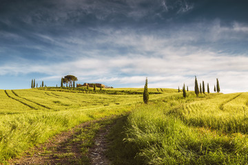 The road in the fields of Tuscany, Italy