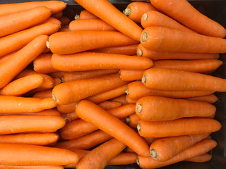 Carrots are sold in supermarkets.