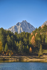 Herbst in Südtirol