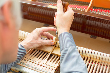 Professional pano technician repairing hammer mechanism.