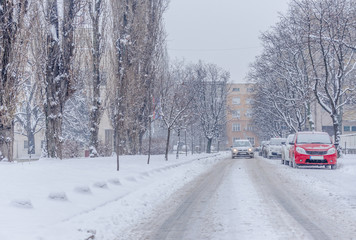 Snow calamity in Serbia, Novi Sad 