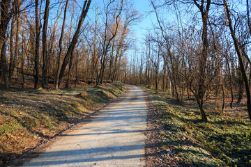 pista ciclabile nel parco del Lura - Lomazzo (Como)