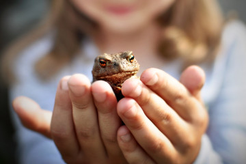 Girl holding a toad